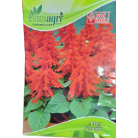 Ateş Çiçeği 25 Adet - Scarlet Sage Tropikal Adaçayı Kızıl Slavia
